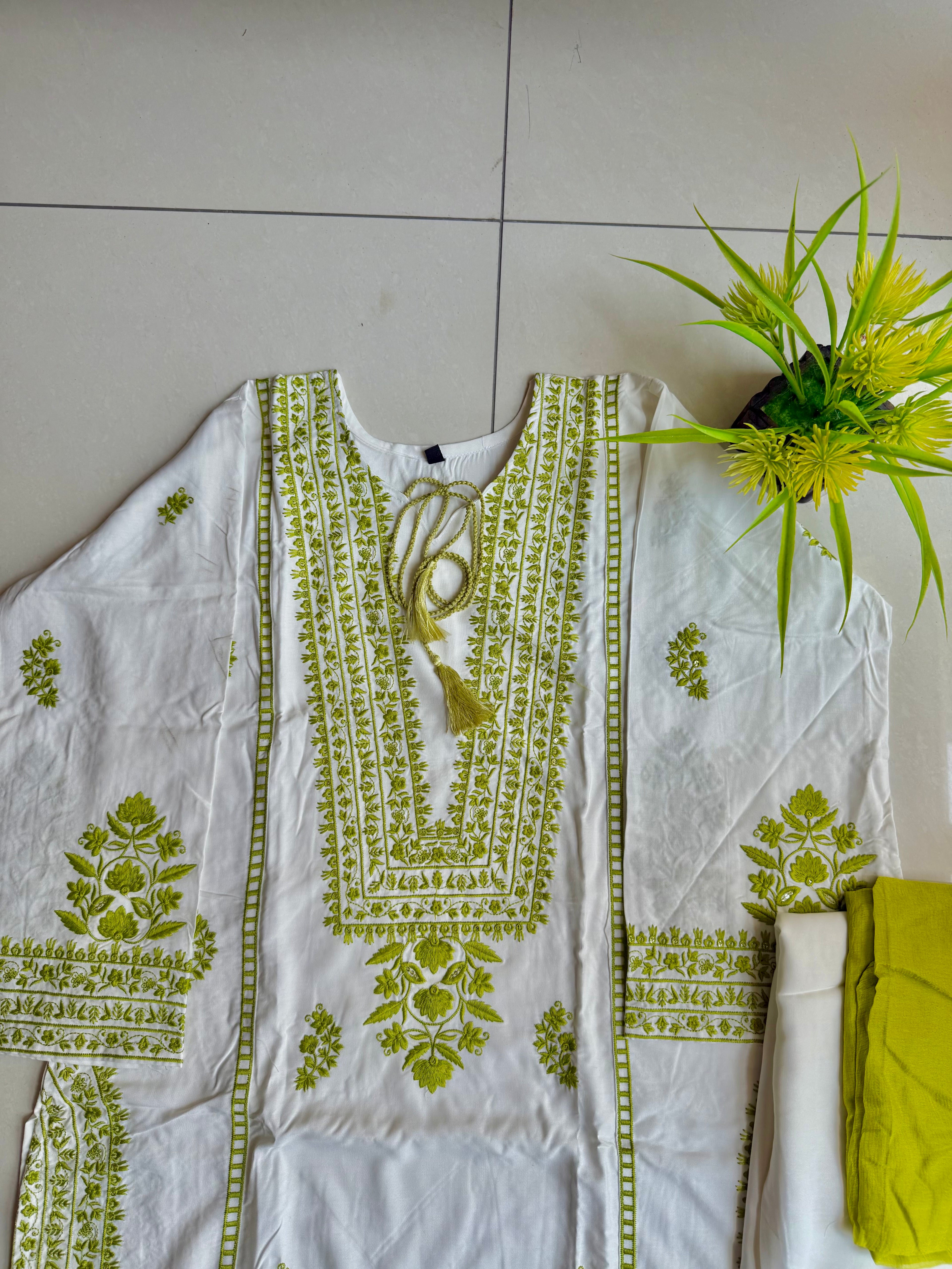 Nashva Pakistani co ord set