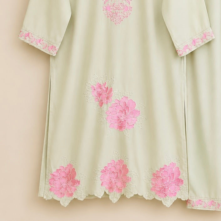 Jaza haider Pakistani suit