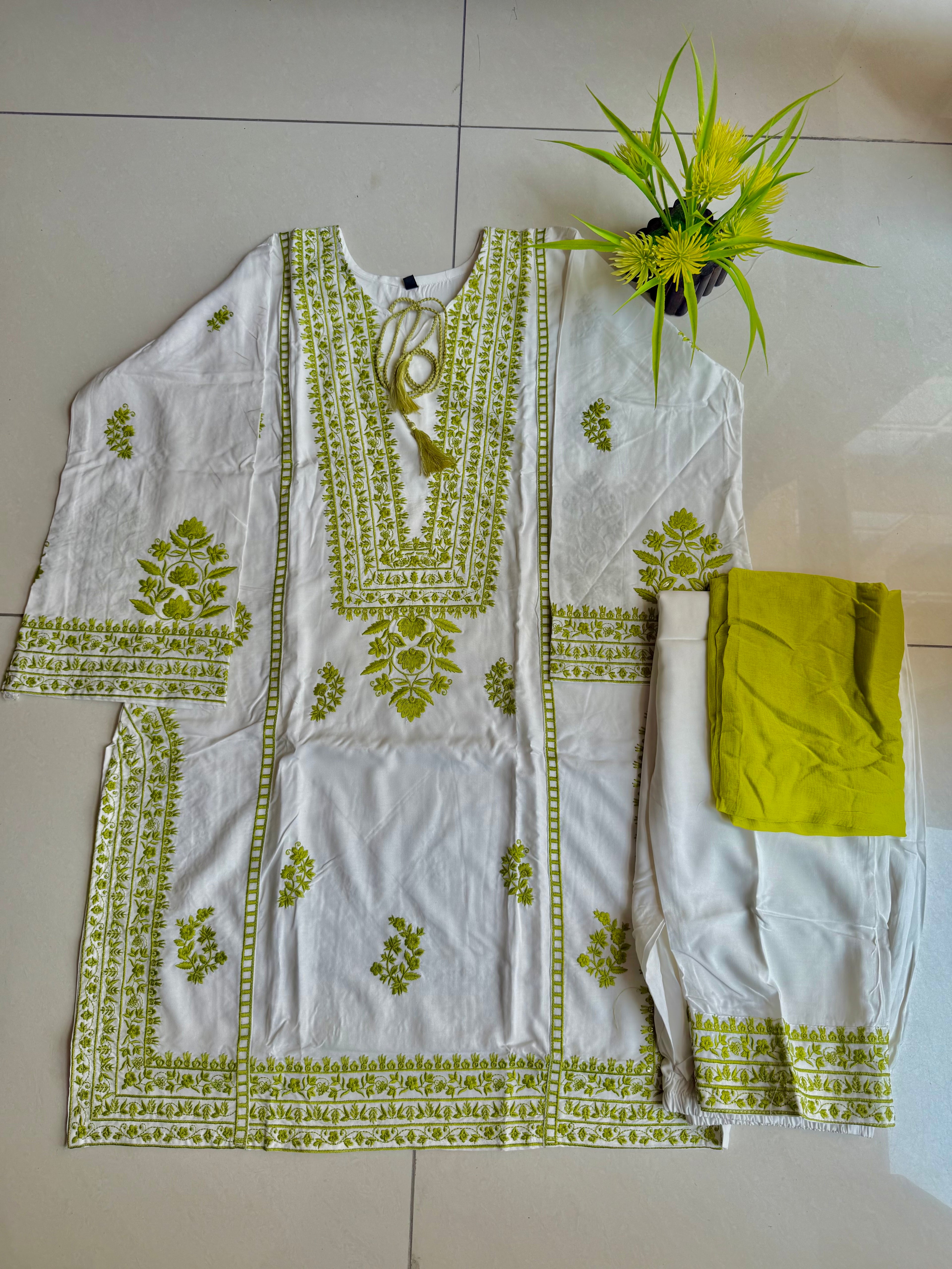 Nashva Pakistani co ord set