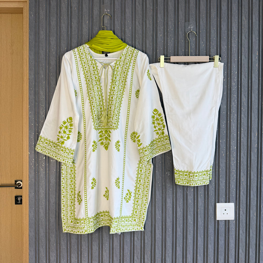 Mahjabeen Pakistani co ord set