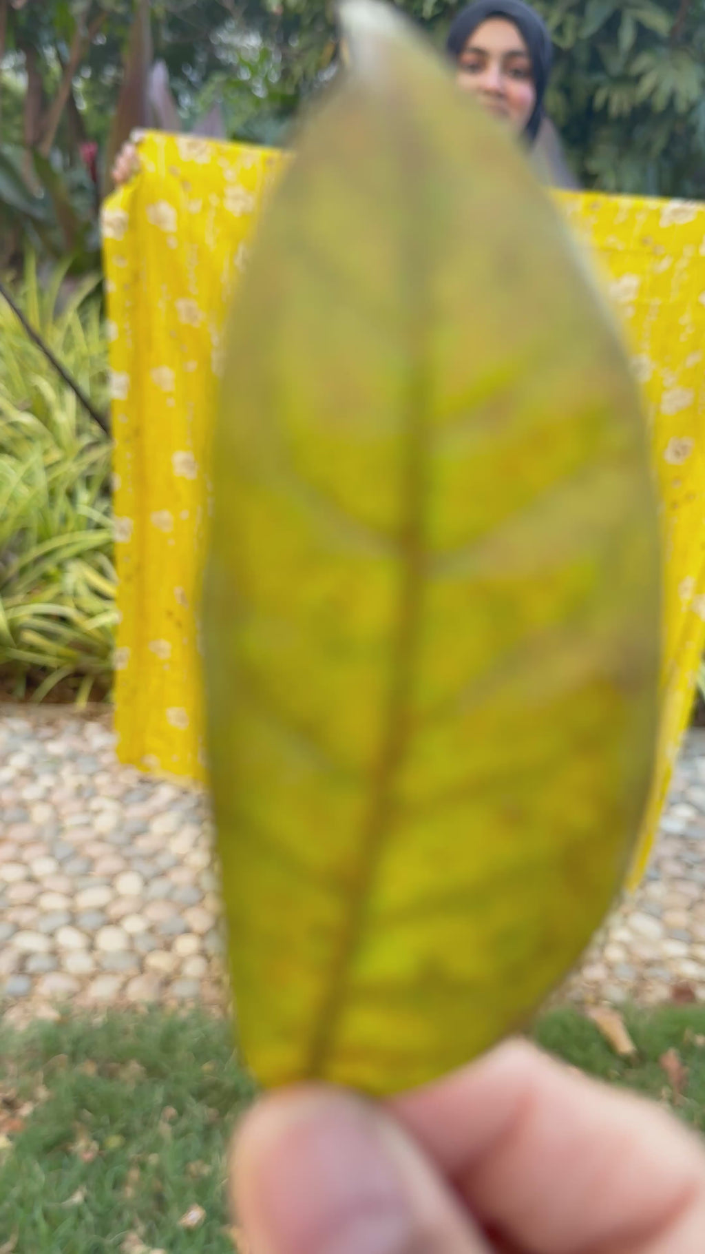 Razelyn Unstitched Cotton Suit Set