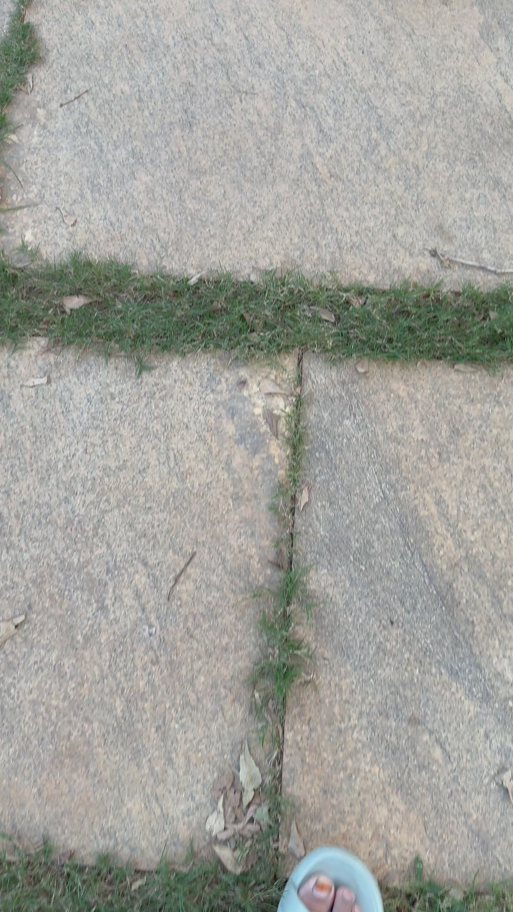 Razelyn Unstitched Cotton Suit Set